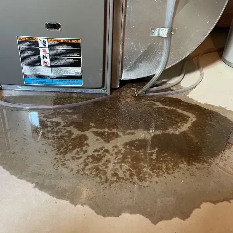 Appliance Leak Cleanup in Glendale, CO